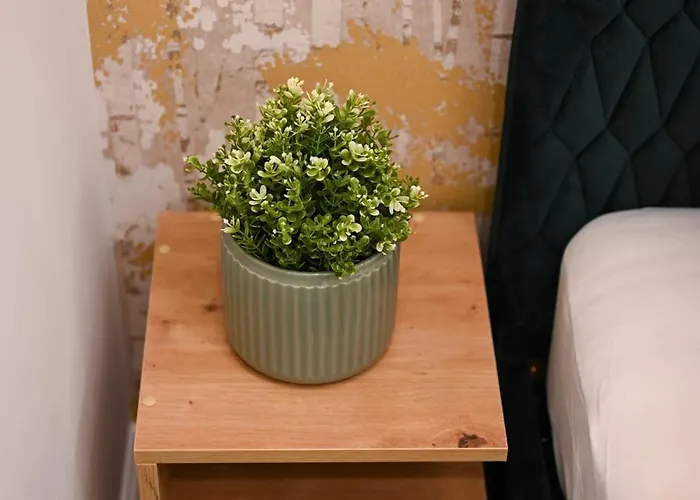 Daire By Hi5-charming